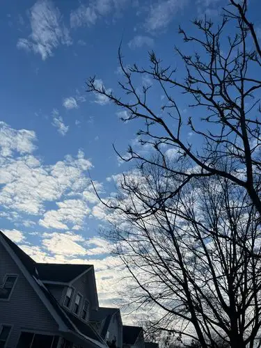 Rooftops peek beneath a captivating, cloud-dotted sky.